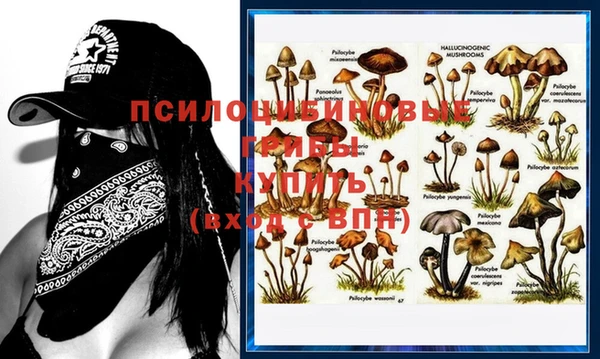 таблы Киреевск