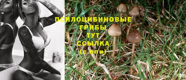 марки nbome Киренск