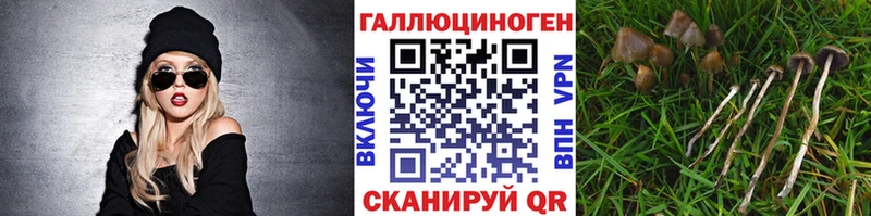 Галлюциногенные грибы Cubensis  Купить  Жигулёвск 