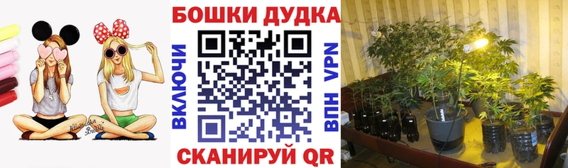 Купить  Жигулёвск  Марихуана план 